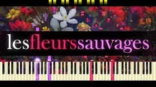 Les Fleurs Sauvages // RICHARD CLAYDERMAN