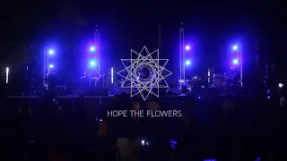 Hope The Flowers at PostGazer Festival #3