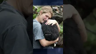 Lost dog found after devastating tornado outbreak