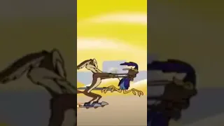 Coyote Finally Catches Roadrunner #1