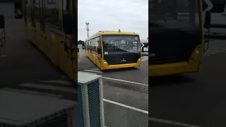 Что за странный желтый автобус?