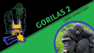 Gorilas 2 The Snider Cut | Ep 40 | CULTURA COLMILLUDA