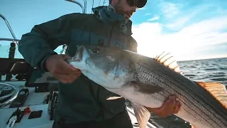 New Approaches for New England Striped Bass Fishing