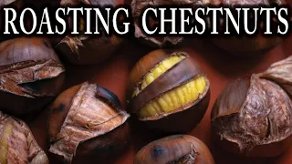 Have You Ever Roasted Chestnuts? We Did!! - 18th Century Cooking