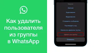 Как удалить пользователя из группы в WhatsApp