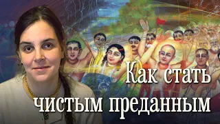 Как ваишн̣аву стать чистым преданным