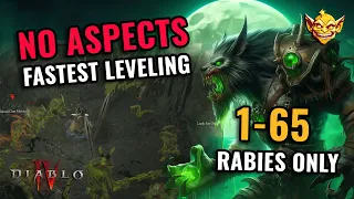 DRUID ONLY BROKEN RABIES LEVELING STRAT - Diablo 4 Build Guide