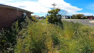 The Neighbours couldn't Believe the Difference | Yard Transformation