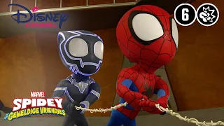 Spidey | Super Schoktobots | Disney Channel NL