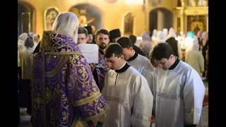 Хиротесия во чтеца / Tonsure of Readers