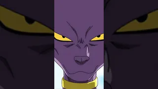 Beerus vs cat blanc