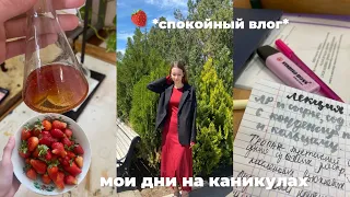 🍓daily vlog: дни на каникулах, учёба и пропуск пар