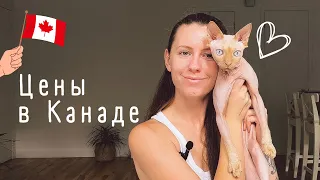 Канада по цене Киева | город Квебек | CUAET | цены в Канаде