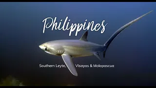 Best of scuba diving the Philippines - Southern Leyte, Visayas & Malapascua