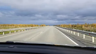 Осенняя трасса Нижневартовск- Стрежевой.