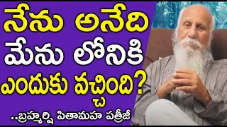 Why did I come in? | Patriji Message | PMC Telugu