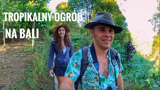 Co znajdziecie w balijskiej jungli? | tropikalny ogród na Bali | wodospady