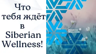 Презентация компании Siberian Wellness ( Сибирское Здоровье)