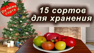 Лучшие сорта помидор для длительного хранения (хранятся до весны)