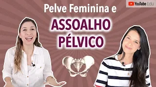 Anatomia da Pelve Feminina e Assoalho Pélvico ft. Lívia Rossi