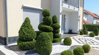 35 Boxwood Landscaping Ideas