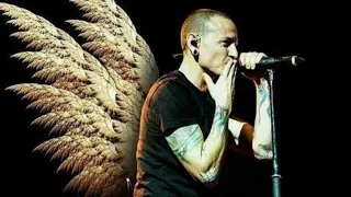 Chester Bennington (A tribute)