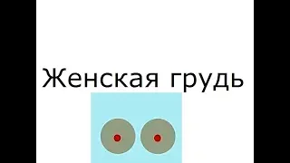 Женская грудь Breast