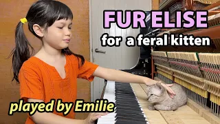 Fur Elise for a Feral Kitten