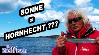 HORNHECHTSAISON OSTSEE - EINFACH FANGEN - Unser Ziel ist Fisch mit Jörg Ovens - Die Angelschule