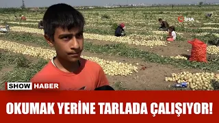 50 liraya tarlada çalışan koca yürekli Yusuf