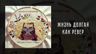 Михаил Елизаров — Жизнь долгая как ревер