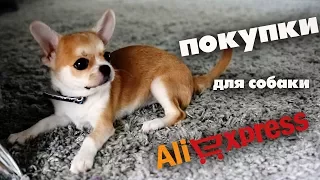 ПОКУПКИ ДЛЯ СОБАКИ НА АЛИЭКСПРЕСС🐶ЧИХУАХУА ЛИЗИ