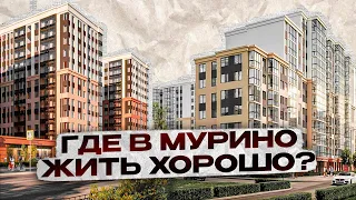 Где в Мурино жить хорошо? Обзор строящихся комплексов.