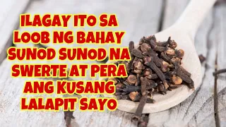 ILAGAY ITO SA BAHAY SWERTE AT PERA ANG KUSANG LALAPIT SAYO | GIO AND GWEN LUCK AND MONEY CHANNEL