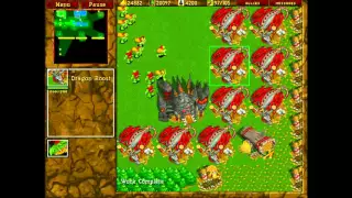 WarCraft II: Chop Mad - Ritalin- & Ch0ppY vs joseaquinha & vrdkuy