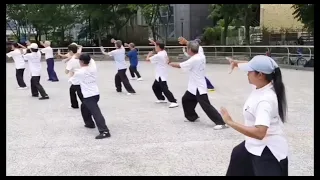 新編28式太極拳/New Style 28-position Tai Chi Group