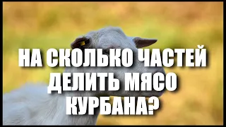 КОМУ ОТДАТЬ МЯСО КУРБАНА? НА СКОЛЬКО ЧАСТЕЙ ДЕЛИТЬ МЯСО ЖЕРТВЕННОГО ЖИВОТНОГО?