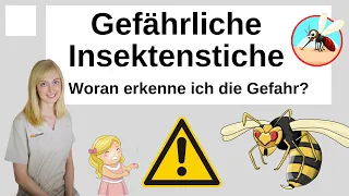 Gefährliche Insektenstiche - woran erkenne ich die Gefahr?