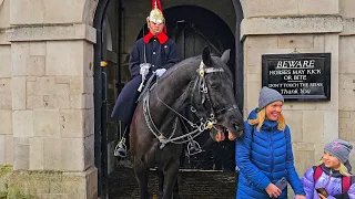 MASSIVE King's Guard horse TABOR returns to delight tourists on Sunday at Horse Guards!