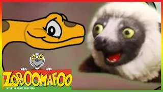 Zoboomafoo 201 - Colourful Snakes (Full Episode)