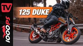 KTM 125 Duke 2021 - immer noch das beste A1 Bike? 125 cc Spaßgerät