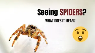 🕸🕸Why Are You Seeing SPIDERS?  🕷🕷 The Spiritual Meaning Of Spiders