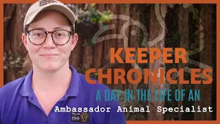 A Day in the Life of an AMBASSADOR ANIMAL SPECIALIST