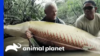 Has Jeremy Wade Caught A Mermaid? | River Monsters