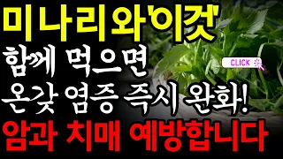 이것만 알면 염증 걱정 끝! 미나리의 놀라운 효능!!