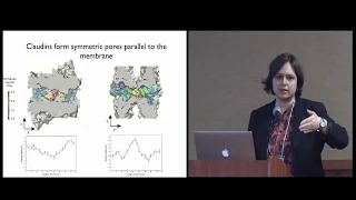 Fatemeh Khalili-Arghi : Molecular Dynamics Simulations of Paracellular Transport Mechanism