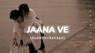 Jaana Ve (Slowed+Reverb) Song || Lofi Mood 🎧