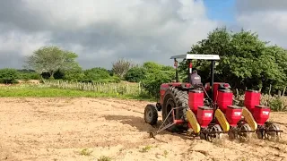 VEJAM PLANTANDO MILHO NO TRATOR RAPIDO E EFICIENTE NO SÍTIO DINHA UNIVERSO SOLEDADE,PB.