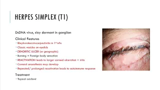 Ophthalmology - conjunctivitis ii