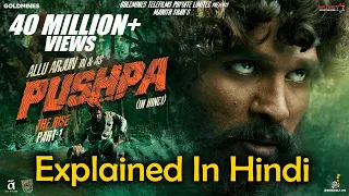 Pushpa The Rise  l Part 1 l Explained in Hindi 2021  l Quick Movie Review And Explanation